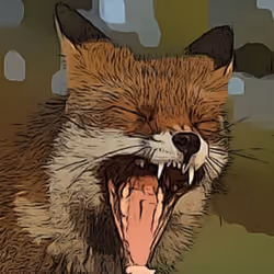 Fox 2