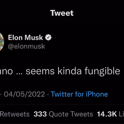 Elon musk Fungible tweet
