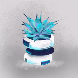 AC