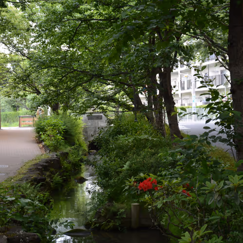 Japanese Cultural Landscape