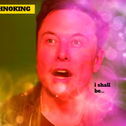 Elon Musk (The Musk Mindset) 