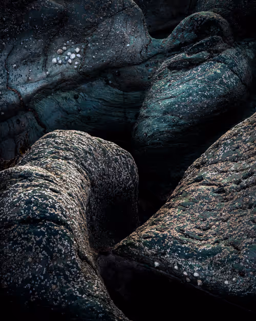 Item #92025450797269199699519638407999947828010124563072321716364901915543258267649 Media