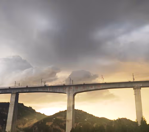 Untitled Collection #17563928