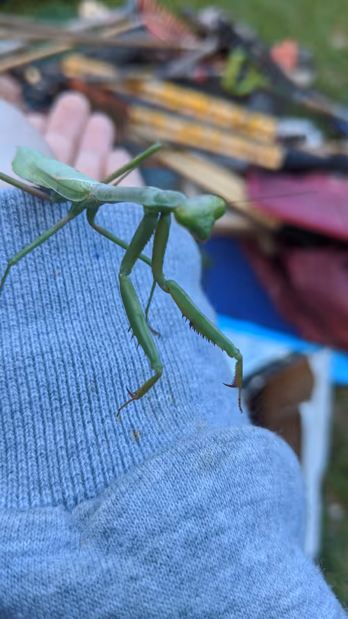 Item #47518194273065051299756248603371626593986050369570479212048397421214588469249 Media