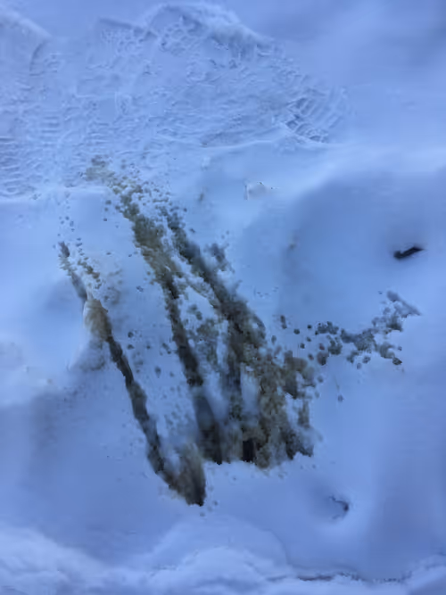 Item #96362335509647116317977925976326486307493994950873933510348800612048274718721 Media