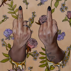 middle fingers up