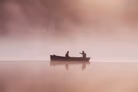 Untitled Collection 444132736