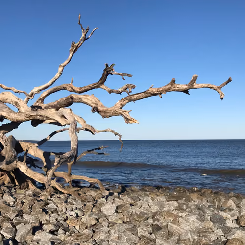 Reaching for the Sea