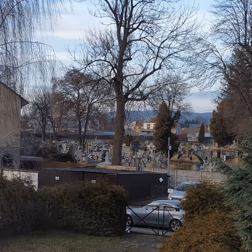 ShadeFlowers Collection