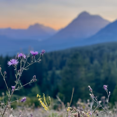 68569921609983084806260736948600394940092661031178232283122914064707352526849