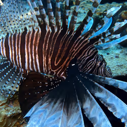 80965803268169370603932631570667161375508893671094224909166964212874342301697