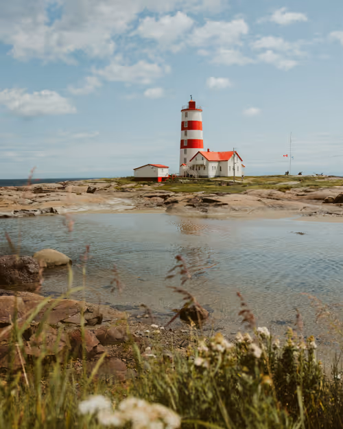 Item #84187683161901868737511018211766444110537923242733545241103395026054527582209 Media