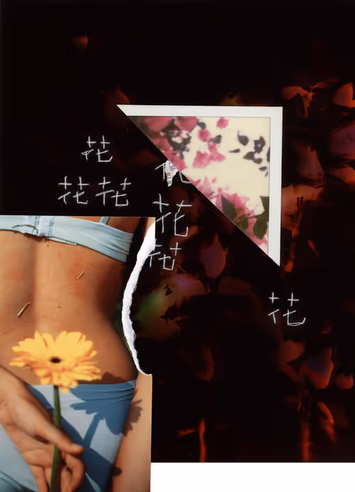 Item #62724315387162242478460627482990637416991090853413426993633640748746696294401 Media