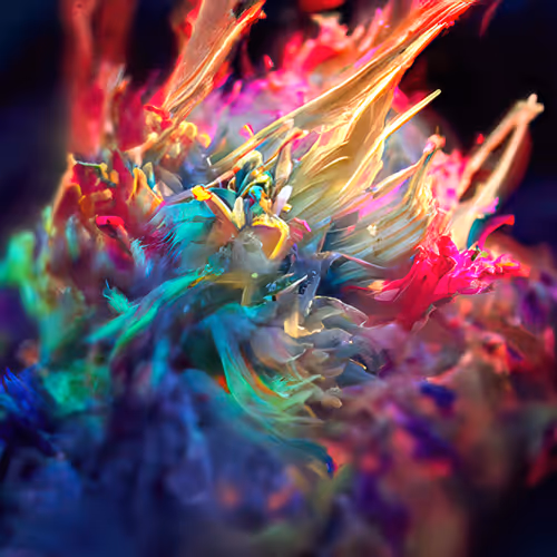 Explosion of Color #63