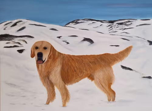 Item #75881173987707830222157318923155359624351205903826607146878569423671203463169 Media