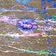 91313716837548638012962891120272574184513368000218632326281960158290266554369