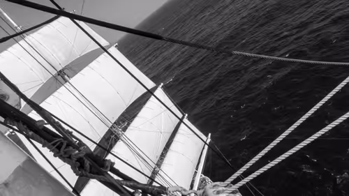 Item #34110083671509346653453586160941404072216291014688644284046702262538838474753 Media