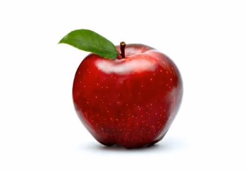 Item #84448331508517046858015669687120720022034264747585711051571211322549552021505 Media