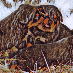 24515379016287833430110687259411372809394655166763807580583558325785098977281