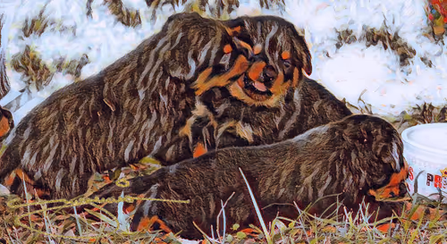 Item #24515379016287833430110687259411372809394655166763807580583558325785098977281 Media