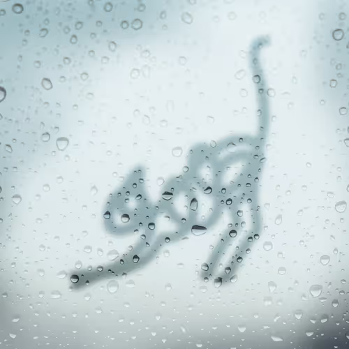 Item #19663207260109955924316601486928890298091554571143964851675771270994042290177 Media