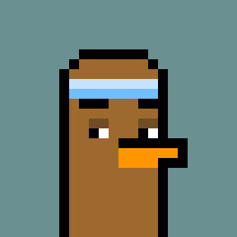 Crypto Duckies