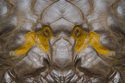 Item #6500580751707857028037968316880768826526959128474210405979815419555818242049 Media