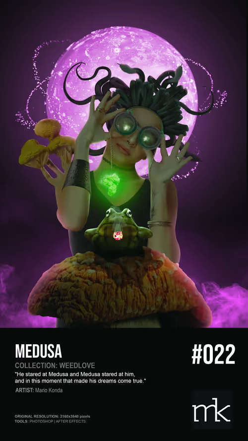 Item #55573863004974060553668176881007852524625808110851081363137097858021293293569 Media