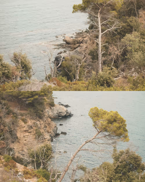 Item #115375069822792009375773103155813887783828718110418204598693532869184544833537 Media