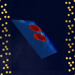 28642289610413535734296160925975093096558758870368473952224142321662019239937