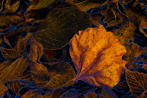 Item #11128123256113201505825332092376579448973501376012613523417643032681507717121 Media