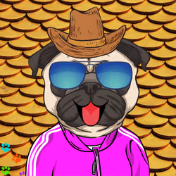 85536923797864075655485684241418953431230894352078393540716038958889773826049