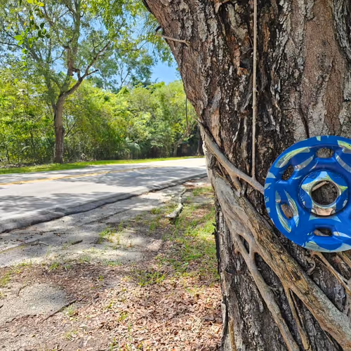 Geographies Of Trash Art Cycling With Ahol