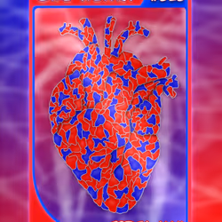 90475678972029395359707263313456981686565599755556252855853744697875185532929