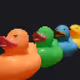 10997508071879303831625811918183700439977814920035555605162509823747093954561