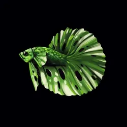 BETTA FISH