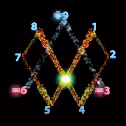 WILDER WORLD's Magic 369 (Thank you Mr. Tesla)