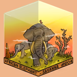 PKZ#4 - African Elephant