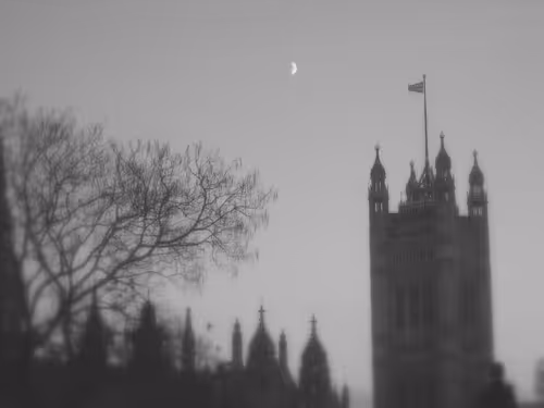 Item #19863580953705417173755462559148524731996053527774082054584323852484531453953 Media