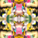 84166766831979456547517341543068149091229272669726785321432478071759591964673