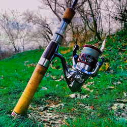 Fishing time