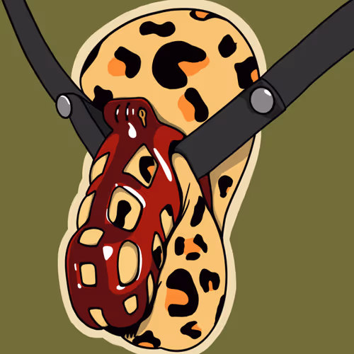 62746048617655971481923375859107550905114216019417971752382086460869672173569