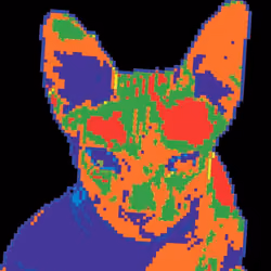 Kitty #21