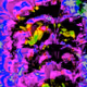 8804577508303111395193194874530852458813262170424855210941989631046866436097