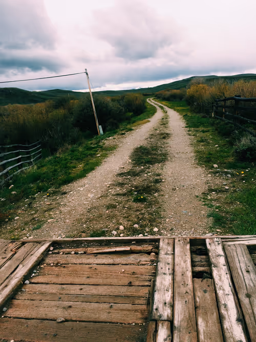 Item #38636187015463482433691281492566122321376547079854942751404297977304616796161 Media