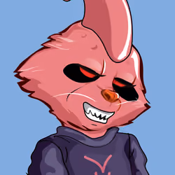 Raccoon-271