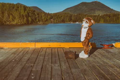 Item #109167448709483732583042211776270329878083090169385372607277723834007668391937 Media