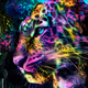 TrippyDreams