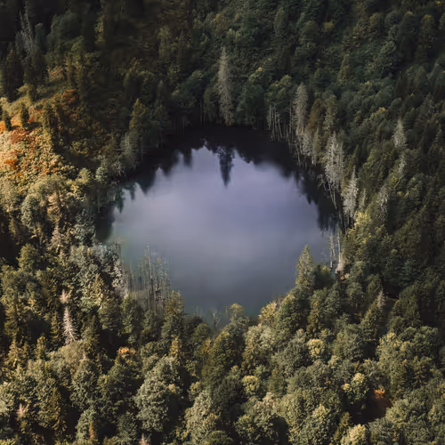 Our World By Zachary Dempsey 6L66O0dPcC