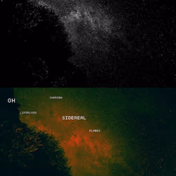 Nocturnal #2
